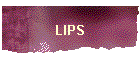 LIPS